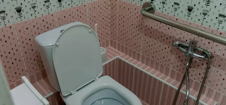 Meeting Diverse Needs With Accessible Restroom Solutions in Manhattan Beach, CA